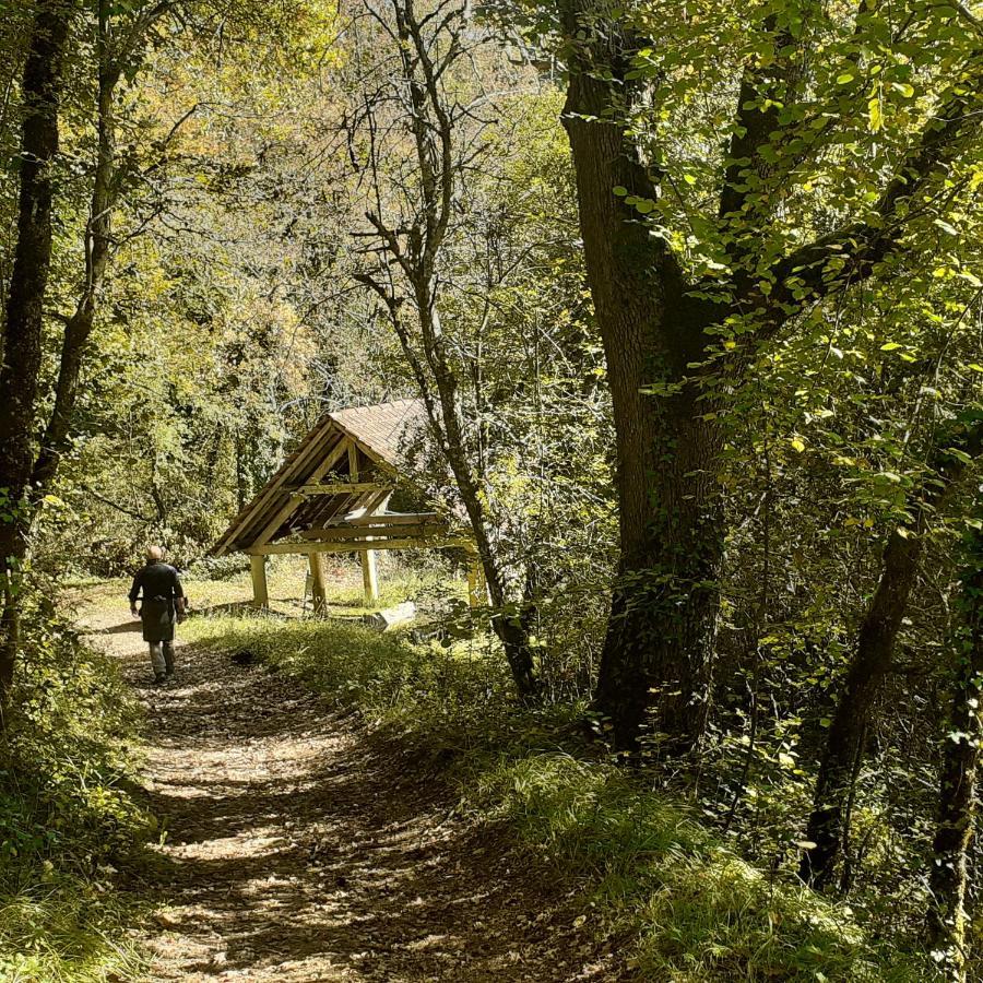 Le Manoir De Carlucet Gite Saint-Crépin-et-Carlucet エクステリア 写真